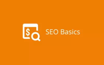 SEO-Basics