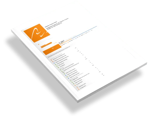 website audit handout web